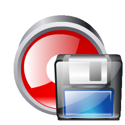 record_save_256.ico