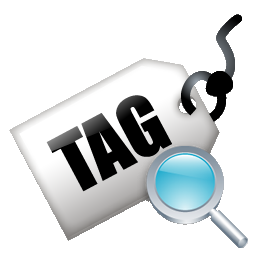 tag_zoom_256.ico