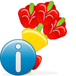 flower_bouquet_info.png