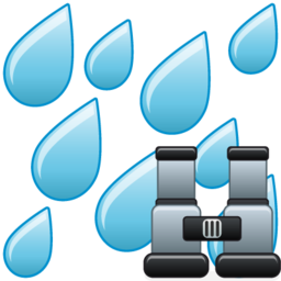 rain_search.png