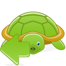 turtle_back.png