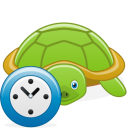 turtle_clock.png