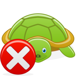 turtle_close.png