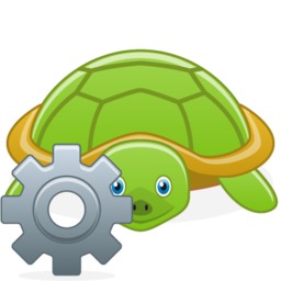 turtle_config.png