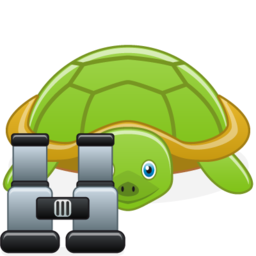 turtle_search.png