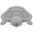 turtle_128.png