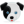 dog_24.png