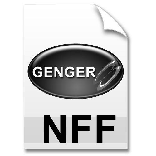 nff_format_b_500.png